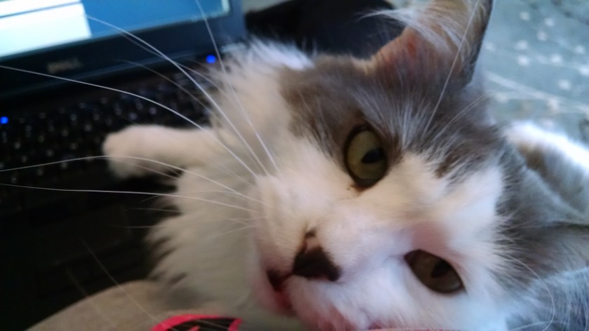 IMG_20141201_142354970